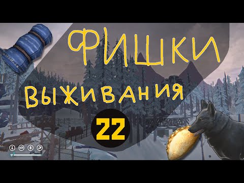 Видео: Фишки выживания в The Long Dark - 22