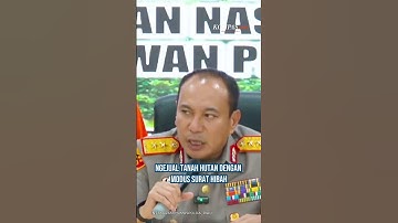Pilu di Tesso Nilo: Hutan Lindung Jadi Sawit, Gajah Diracun, Petugas Diteror