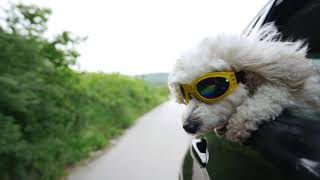 Stay Cool During the Summer - Able Heating & Air - Culpeper, VA