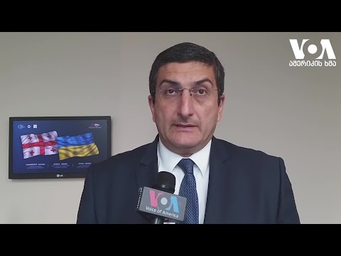 გიგი გიგიაძე, ყოფილი ელჩი ელჩების კრიტიკის შესახებ