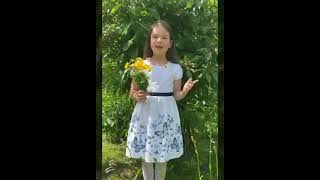 «Что такое уют?»