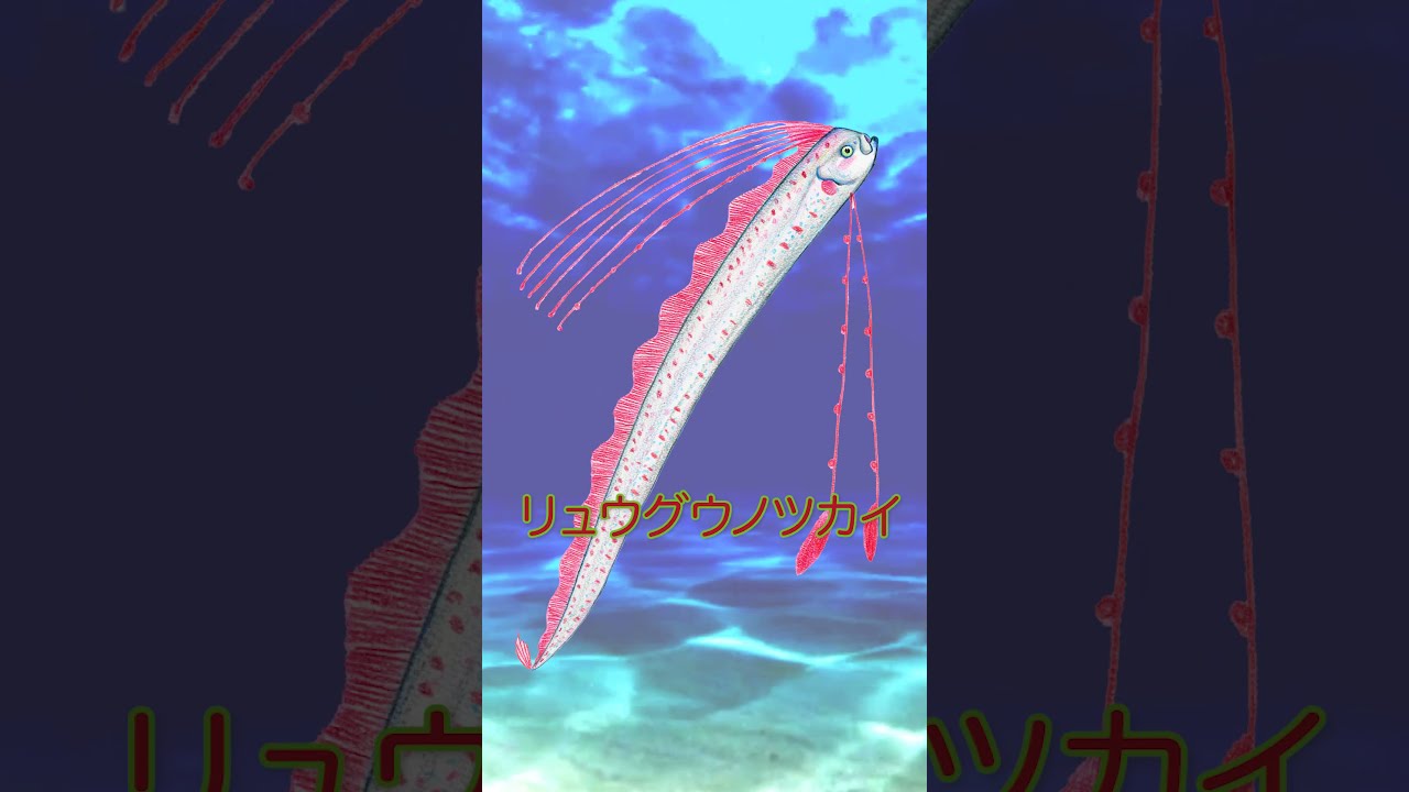 さかなです kts-shop_4580370624335