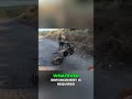 Electric Bike Caught Illegally Riding Off-Road! #shorts