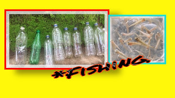 Simple Fish Trap With Plastic Bottle | cps media Malayalam |M4 Tech|