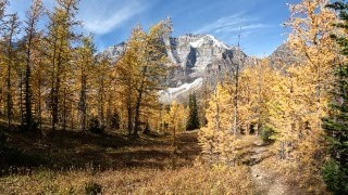 Lake Louise to Moraine Lake Via Paradise Valley