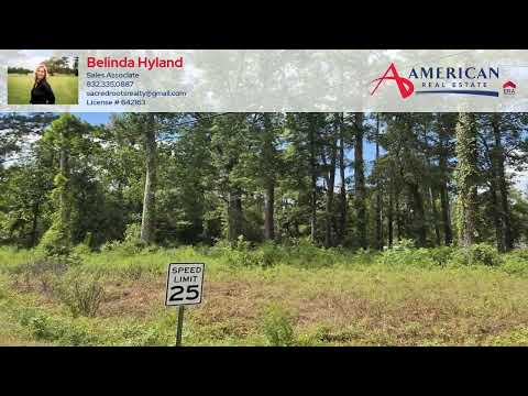 156 Lakeview Dr, Onalaska, TX home video tour
