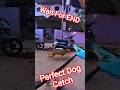 ABC Dog Catch Malebennur City #dog #streetdogplanet44 #shorts #ytviral #abc