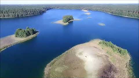 إن الله وملائكته يصلون على النبي ❤ القارئ الطفل أنس الشهاب 👍