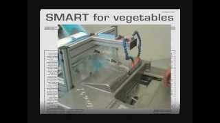 Simplicita Bag Smart - Vegetables & fruit - Frutta & verdura | Ravizza Packaging - ITA/ENG