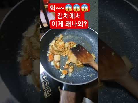 헉!! 😱😱😱 김치에서 이게 왜나와?#미얀마#동남아#라오스#미얀마여행#미얀마비자#미얀마정보#미얀마여성#미얀마여행#동남아결혼#양곤지진#국제결혼#태국#미얀마유흥#베트남#양곤#만달레이