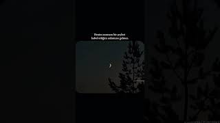 Yakınlık Saygısızlığı Hiçbir Zaman Haklı Çıkarmaz. Şfet