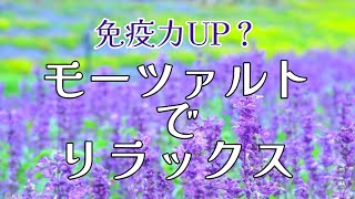 モーツァルト: 免疫力UPモーツァルトでリラックスおうちで毎日ミニコンサート♪