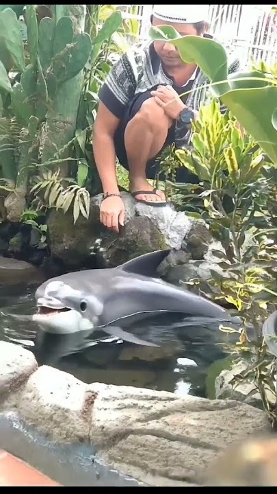 ko bisa 😅 #reels #shortvideo #hiburansegar #lucu #funny #lumbalumba #kolamnatural