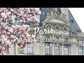 ｛Cinematic Paris Vlog｝Rainy day in Paris｜Magnolias are full bloom🌸 Strolling Saint-Germain-des-Près