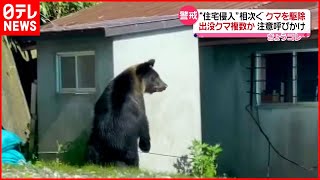 【熊】11月だけで13件…“住宅進入”相次ぐ　北海道・羅臼町