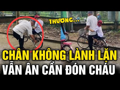 Video Người Ông 