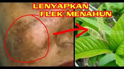 TIPS HILANGKAN FLEK MENAHUN DAN MEMUTIHKAN WAJAH - Durasi: 6.57. 