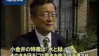 小金井市　「雨水浸透ます」設置率50％超に