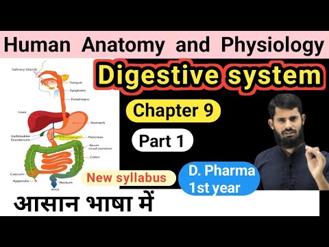 Digestive System || human anatomy and physiology chapter 9 || HAP chapter 9 || part 1