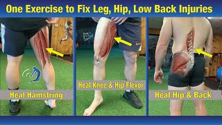 ONE Exercise to FIX Any Lower Body Injury - Hips, Legs, and Low Back