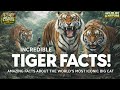 The Truth About Tigers We Were Never Told! 