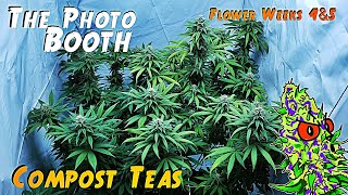 The Photo Booth Ep. 3 | OG Kush Flower Weeks 4 & 5 (How I Use Compost Teas)