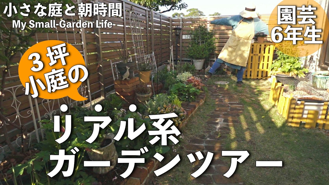 ３坪小庭で園芸丸５年。庭の現状を裏の裏まで暴くリアル系ガーデンツアー｜小さな庭のガーデニング