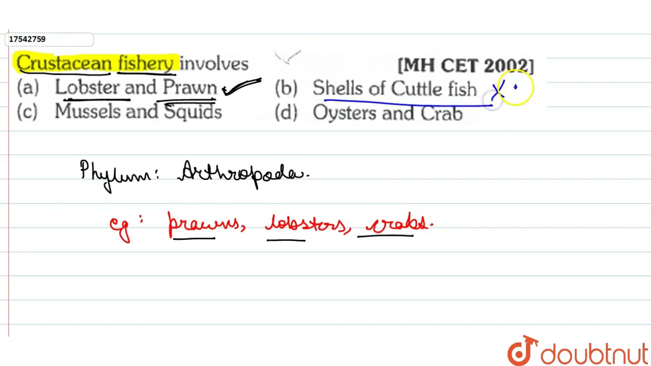 Crustacean fishery involves | 11 | ANIMAL KINGDOM | BIOLOGY | ERRORLESS  | Doubtnut