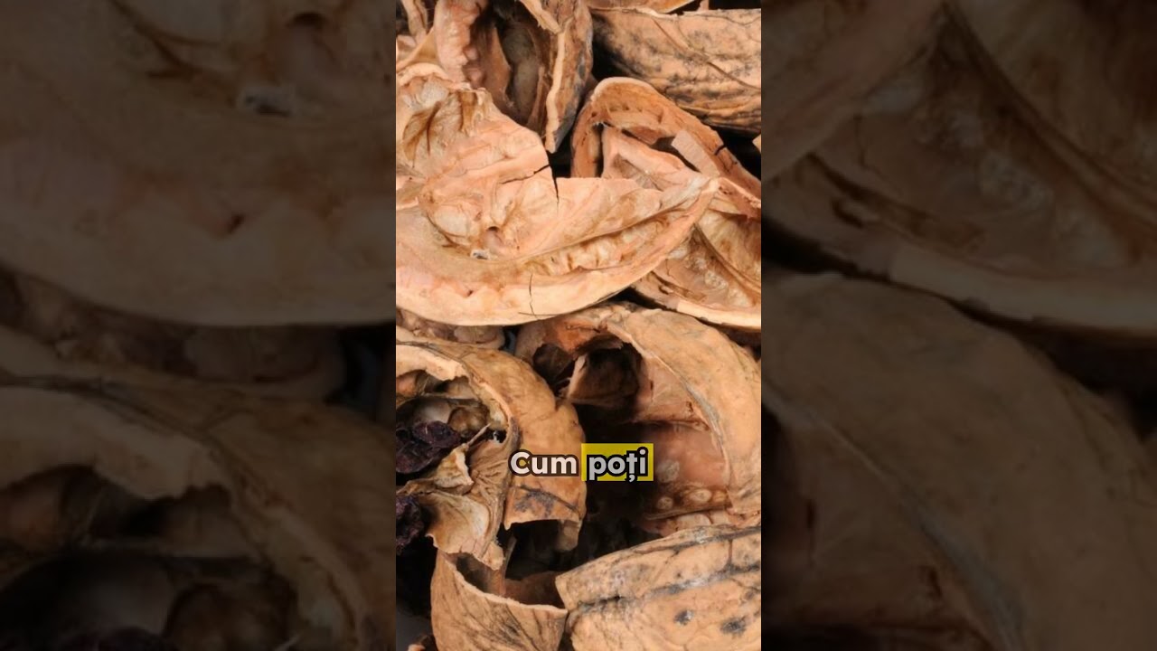 Scapă de TARTRU cu un singur INGREDIENT chiar la tine acasă! 