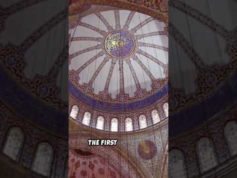 Welcome To Hajia Sophia Shorts 