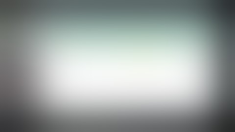 HITLEAP - Your Traffic Exchange Sessions