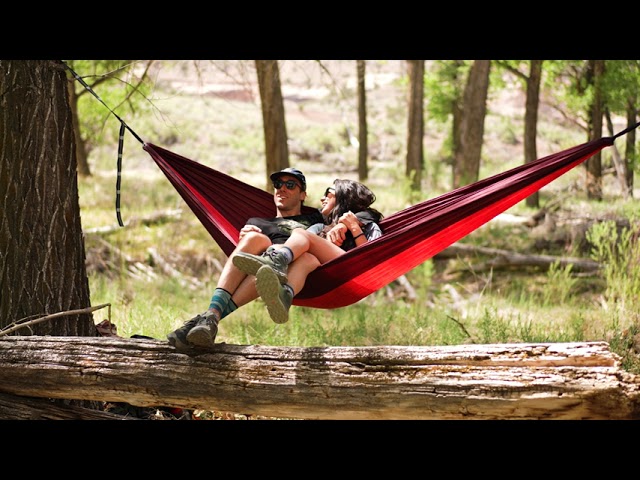 Hammocks  Sierra Designs 