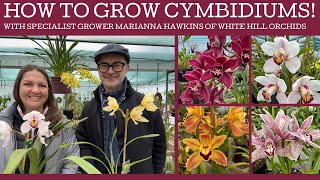 How to grow Cymbidiums with specialist grower Marianna Hawkins of White Hill orchids!