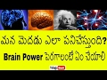 మన మెదడు ఎలా పనిచేస్తుందో తెలుసా | How the Human BRAIN Works in Telugu | Brain Power