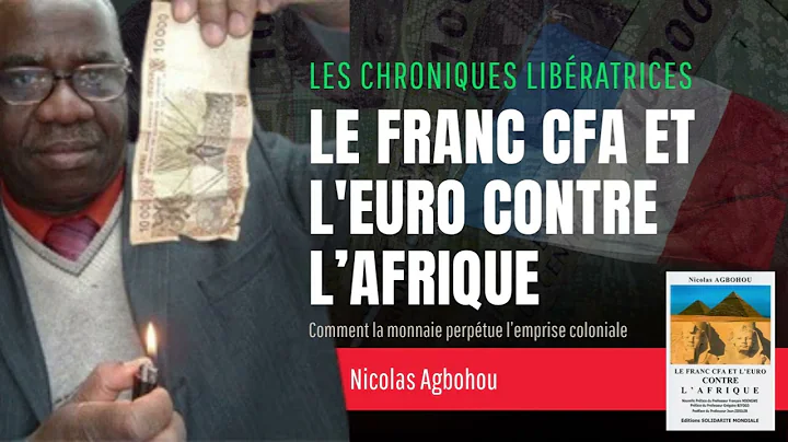 Le Franc CFA et l'Euro contre l'Afrique : Nicolas Agbohou