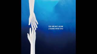 Far From Perfect - You Are Not Alone Single