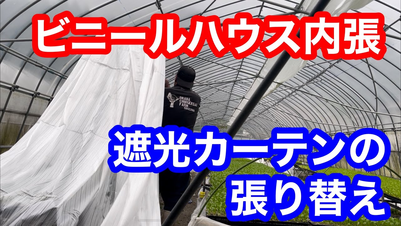 ビニールハウス内張遮光カーテン張り替え作業 Youtube ビニールハウス内張遮光カーテン張り替え作業 Youtube