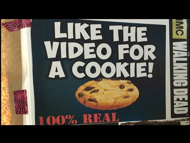 WHERE IS MY COOKIE?????
