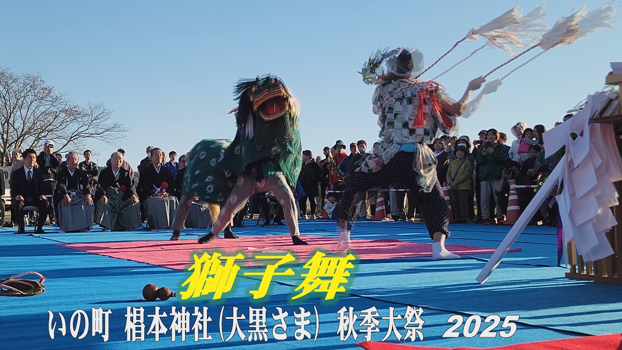Shishimai, Sugimoto Shrine Autumn Festival 2025, 御旅所で【獅子舞