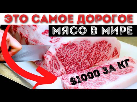 Самое Дорогое Мясо в Мире | Топ 10 Самых Дорогих Видов Мяса