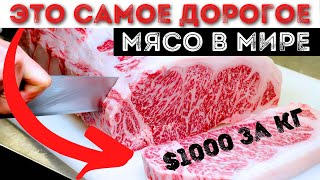 Самое Дорогое Мясо в Мире | Топ 10 Самых Дорогих Видов Мяса