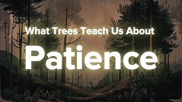 What Trees Teach Us About Patience – Ancient Wisdom in Nature