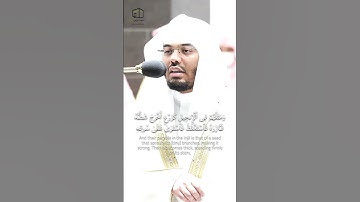جمال التلاوة في ختام سورة الفتح: محمد رسول الله ﷺ | الشيخ ياسر الدوسري