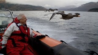 Goose Chase - Attenborough: 60 Years in the Wild - Ep2 Understanding the Natural World - BBC Two