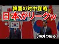 【海外の反応】韓国の対中謀略、日本リークで中国激怒?コウモリ無双を日本メディアに暴露され大慌てで火消しに奔走「イソップのあの童話を軽く超える失態に...」【世界のJAPAN】