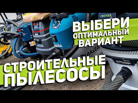 Видео: Тест: Какъв тип куче сте?