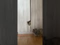Всем #хорошегонастроения 🫶