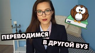 видео NT | Проблемы при переводе в другой институт | Мой опыт