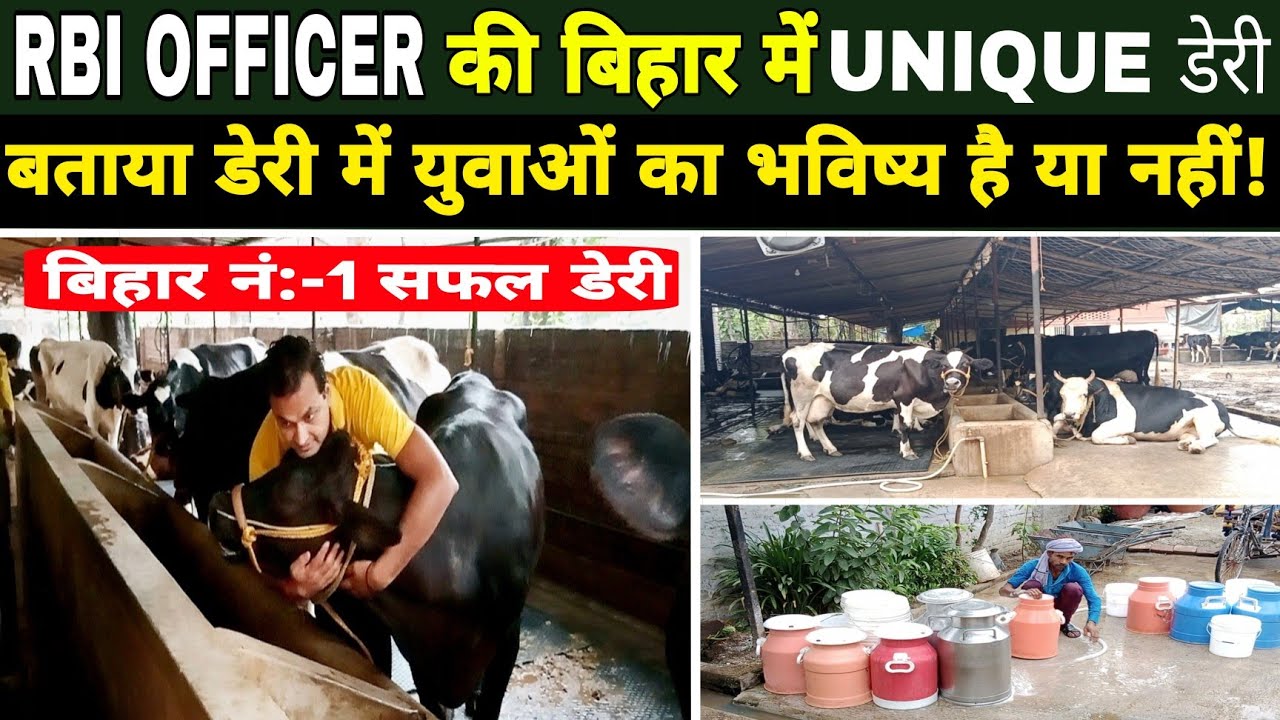 RBI OFFICER की बिहार में UNIQUE डेयरी, देखें डेरी में भविष्य/TDM DAIRY FARM MOKAMA PATNA BIHAR ||