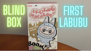 My First Labubu Blind Box Opening Exciting Macaron